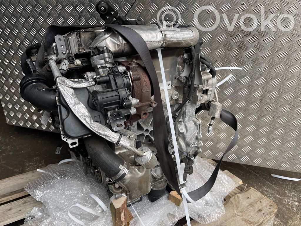 Motor   LXD