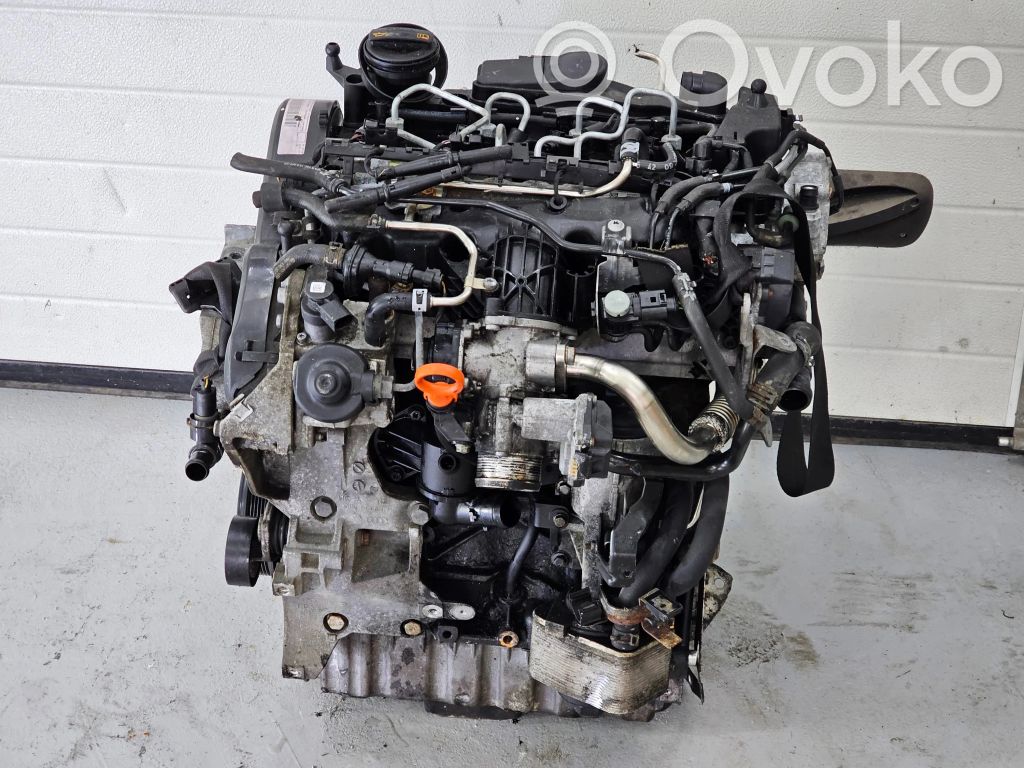 Motor   CBD,CBD366490,03L