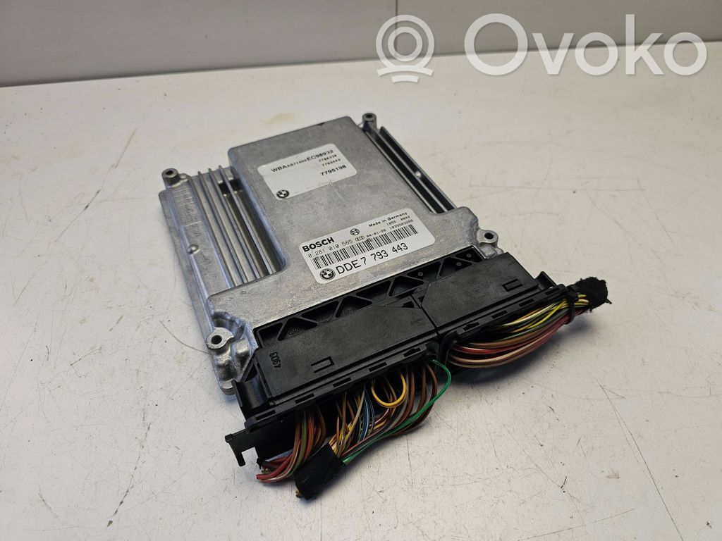 Engine control unit/module   7795198,7793443,0281010565