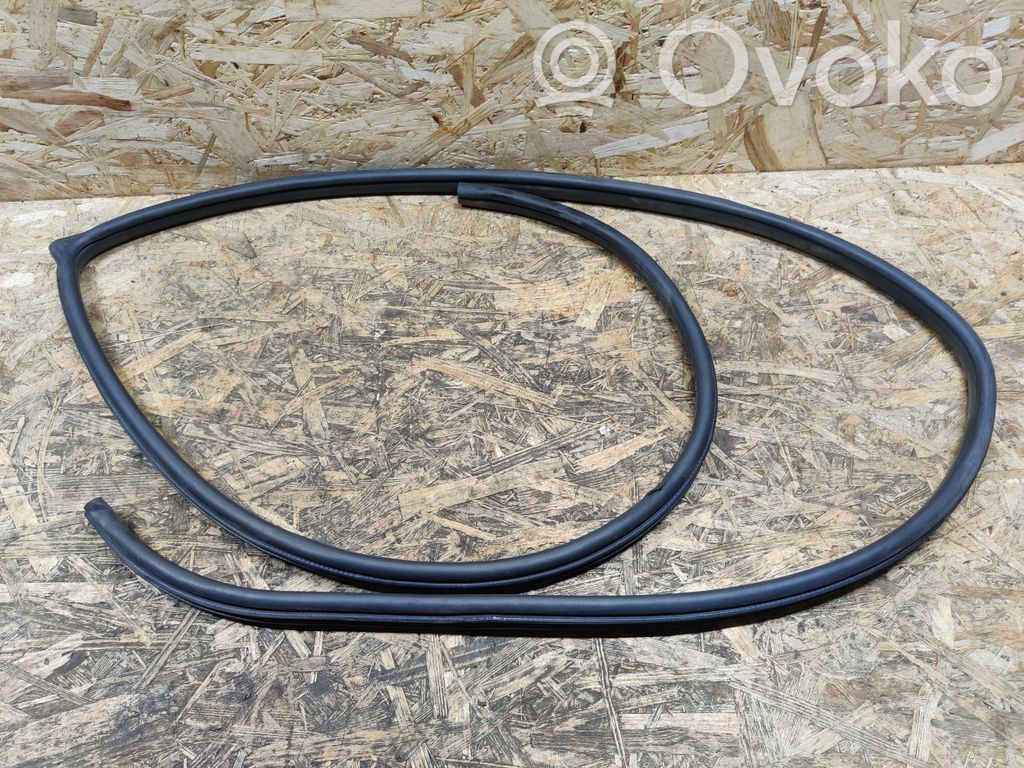 Opel Antara Gumowa uszczelka drzwi przednich 