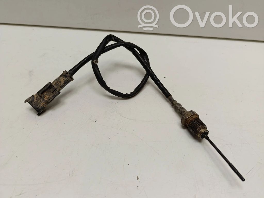 Fiat Ducato Izplūdes gāzu temperatūras sensors 