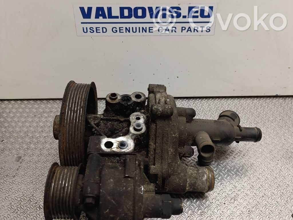 Ford Transit Vairo stiprintuvo siurblys 