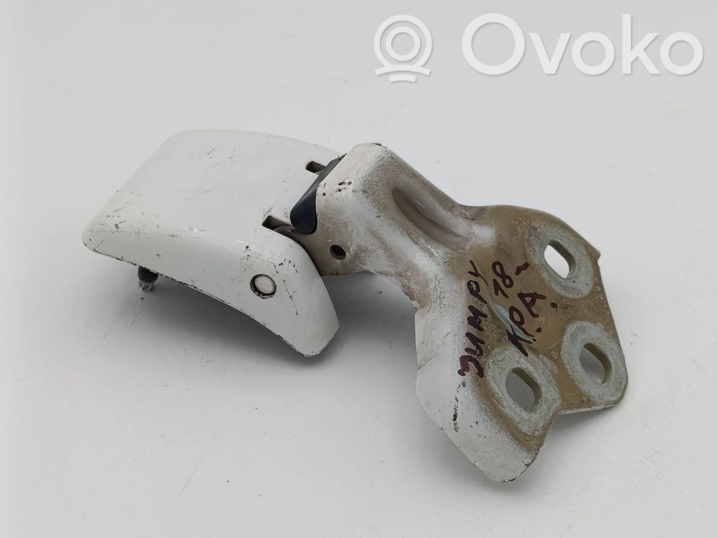 Citroen Jumpy Rear door lower hinge 