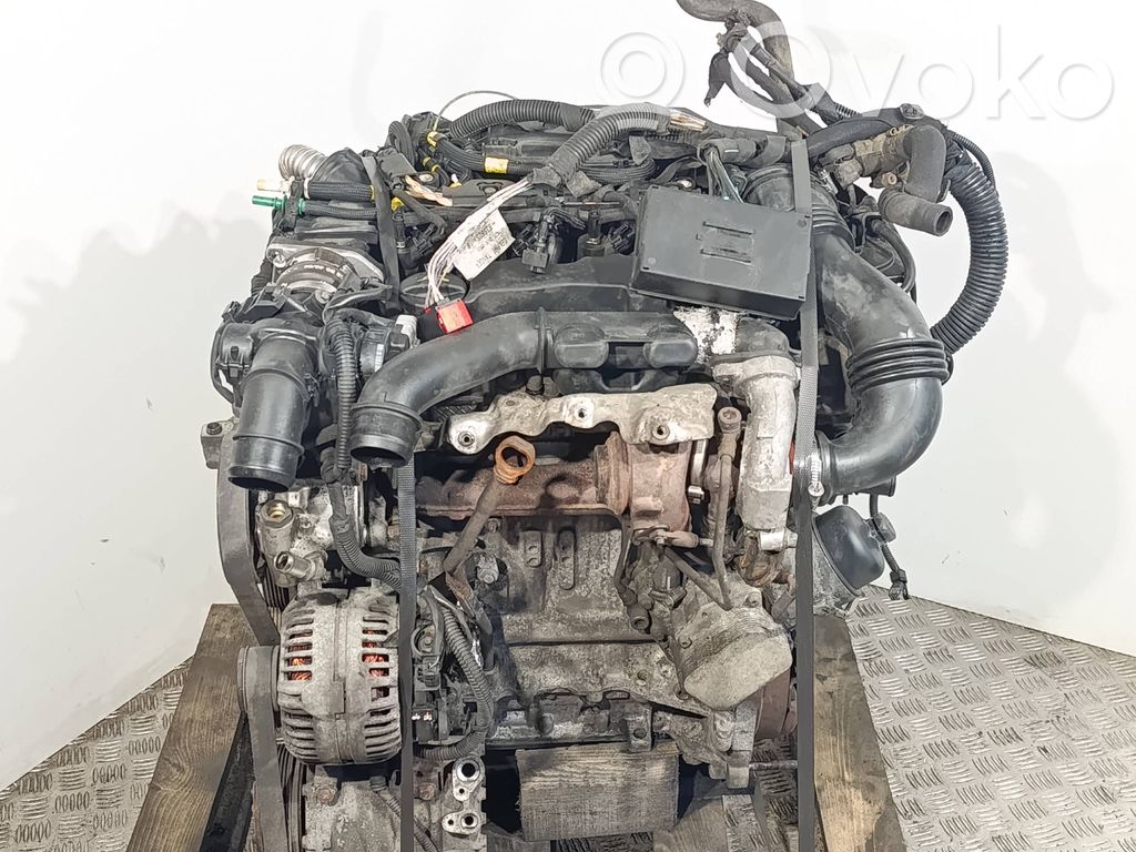 Citroen Berlingo Motor 