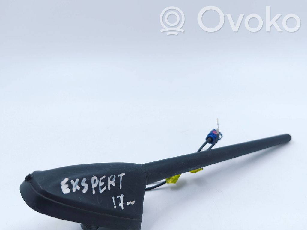 Peugeot Expert Antena de radio 