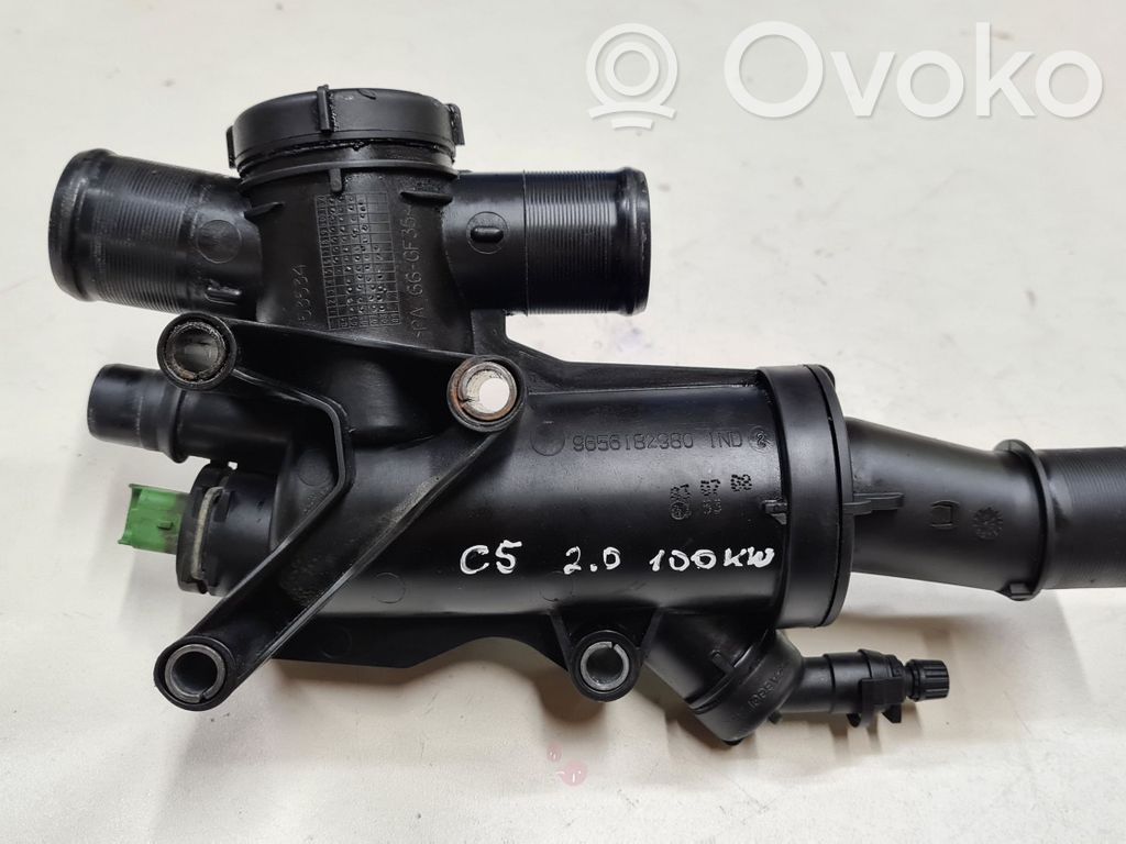 Citroen C5 Termostatas/ termostato korpusas 