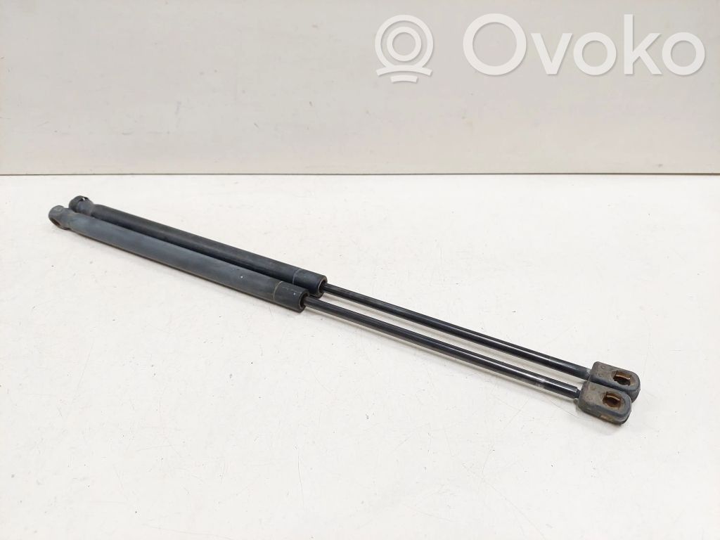 Tailgate/trunk strut/damper   20952,535N385