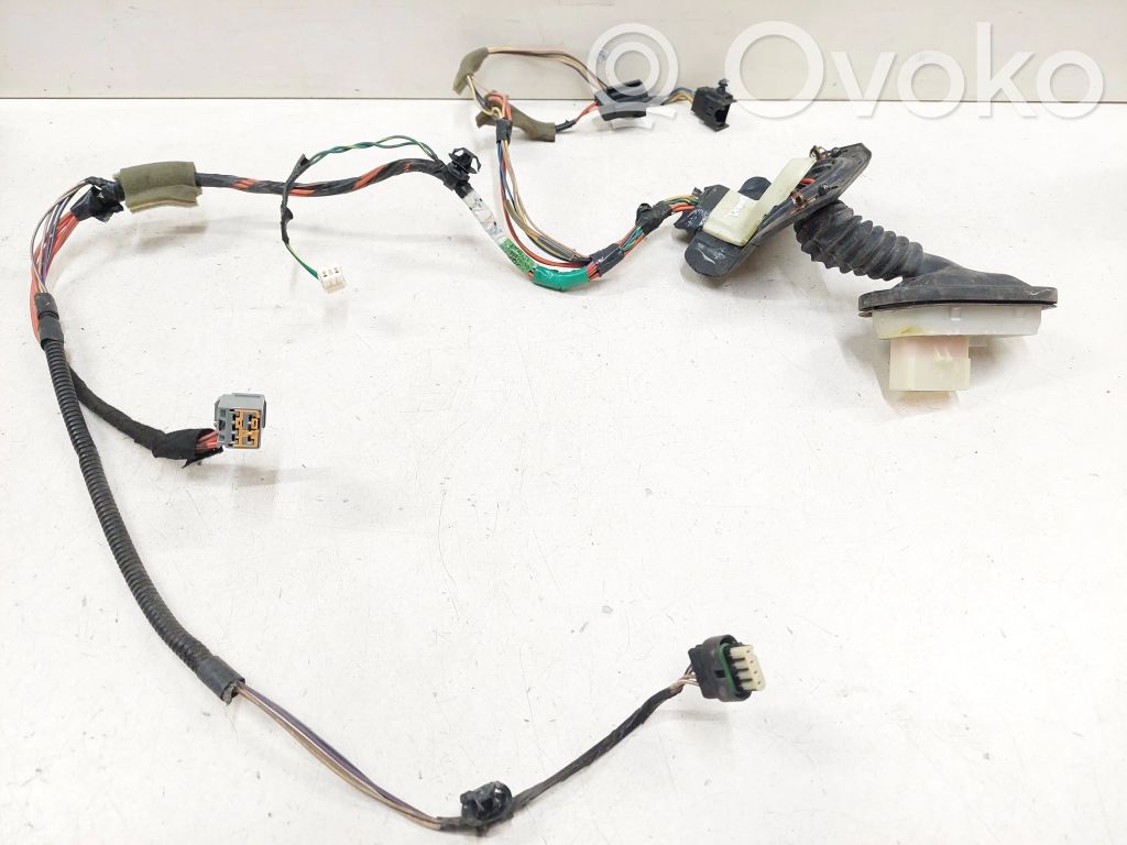 Jeep Compass Cableado de puerta delantera 