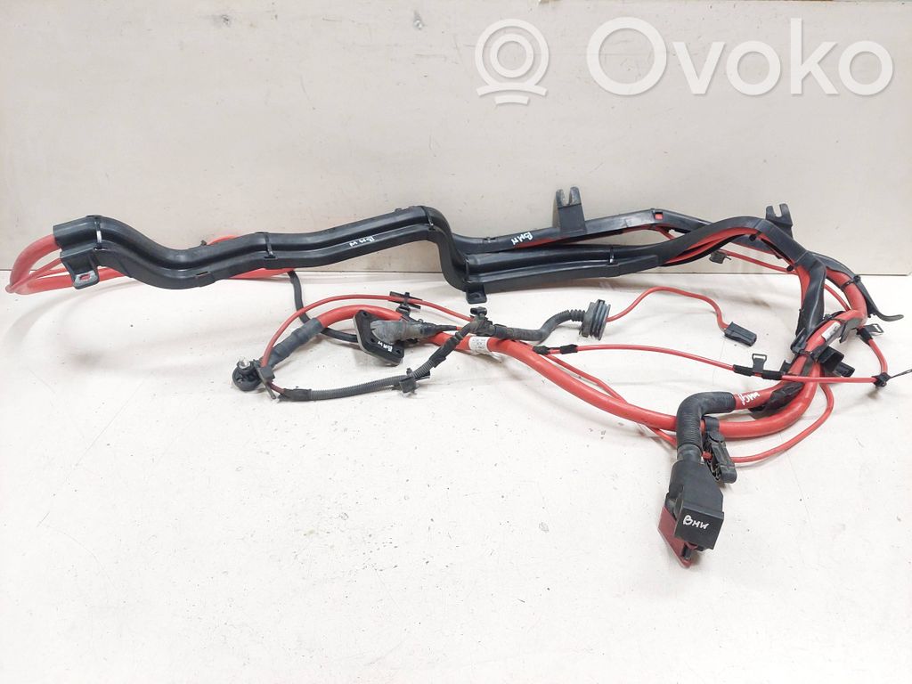 BMW X6 E71 Plusa vads (akumulatora) 