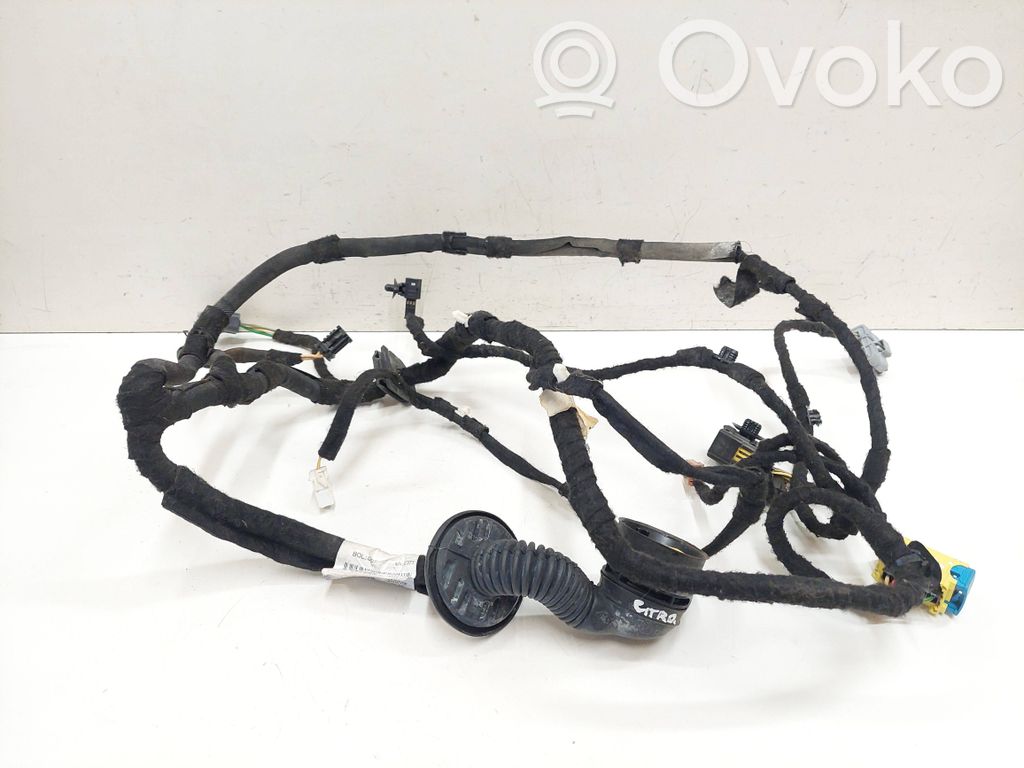 Citroen C5 Cableado de puerta delantera 