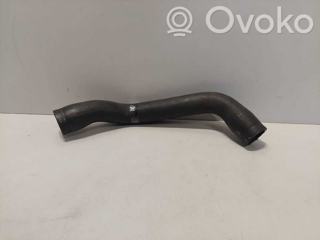 Engine coolant pipe/hose   08674873