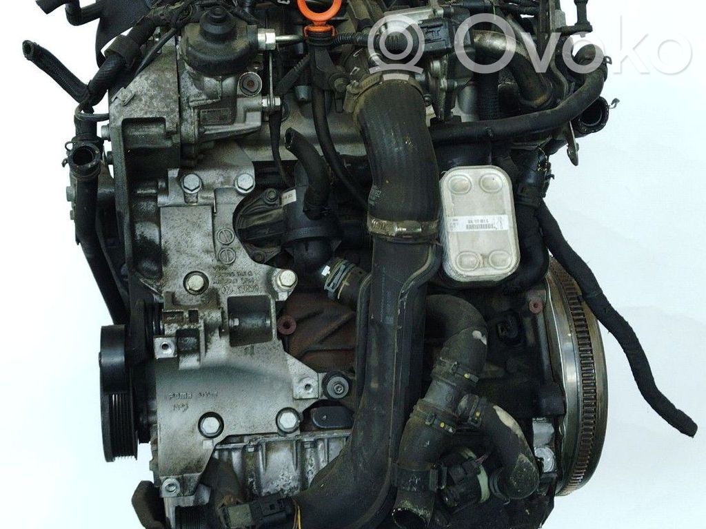 Motor   CFG,CFGB,03L100036N