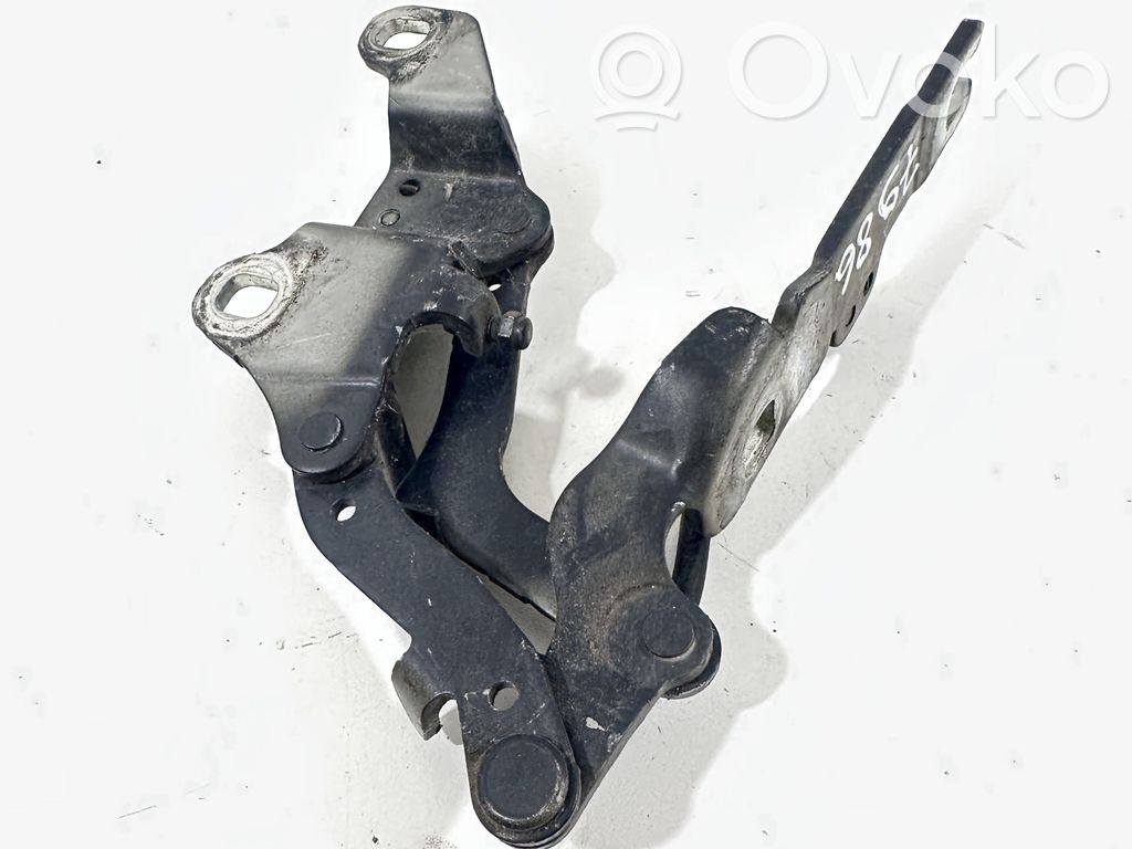 Scharnier Motorhaube   7115263