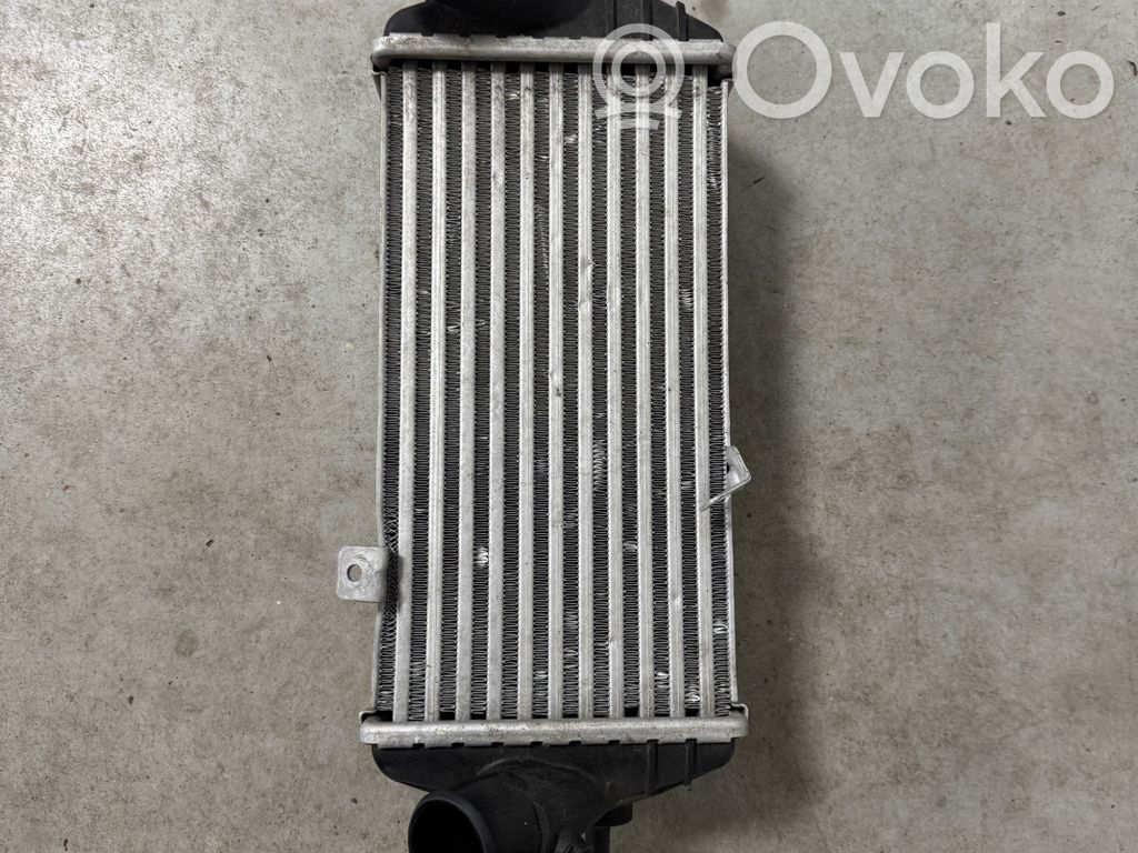 Interkūlerio radiatorius   282702A320