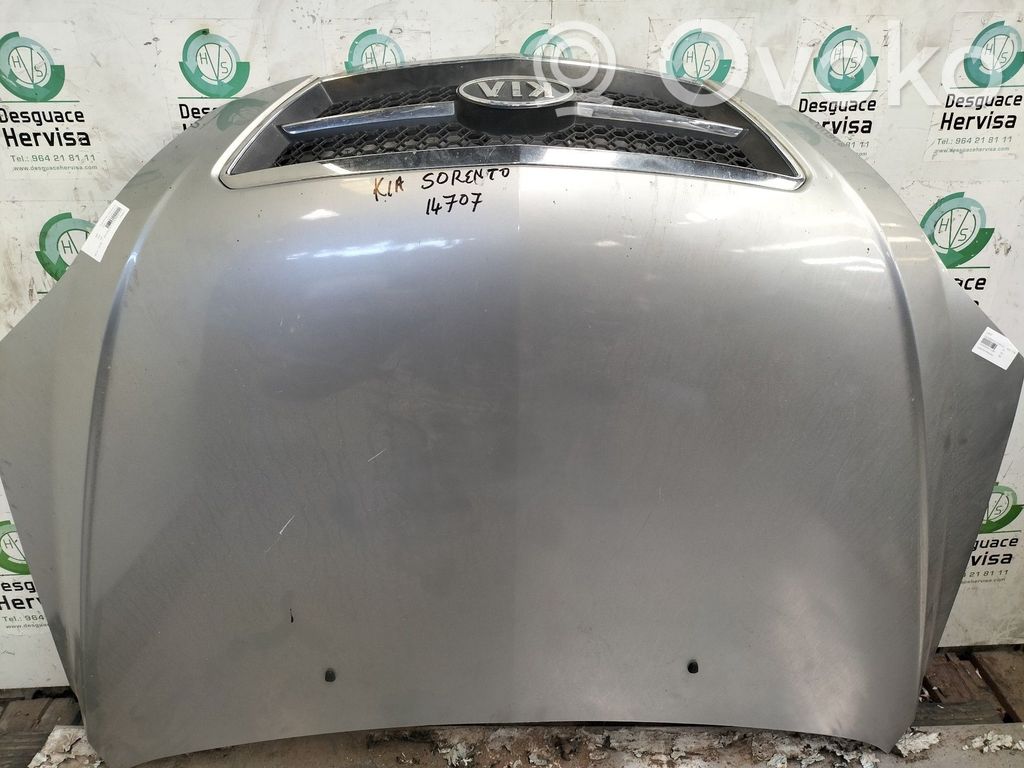Capotă motor