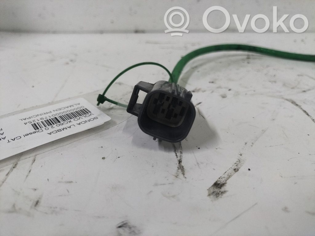 Sonda lambda   31319386