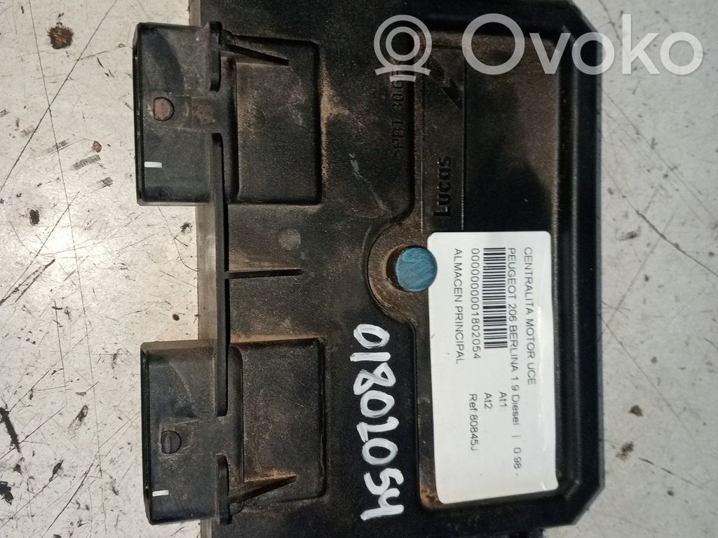 Engine control unit/module   80845J