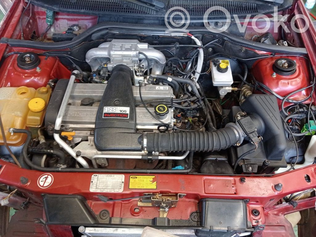 Engine   RDA