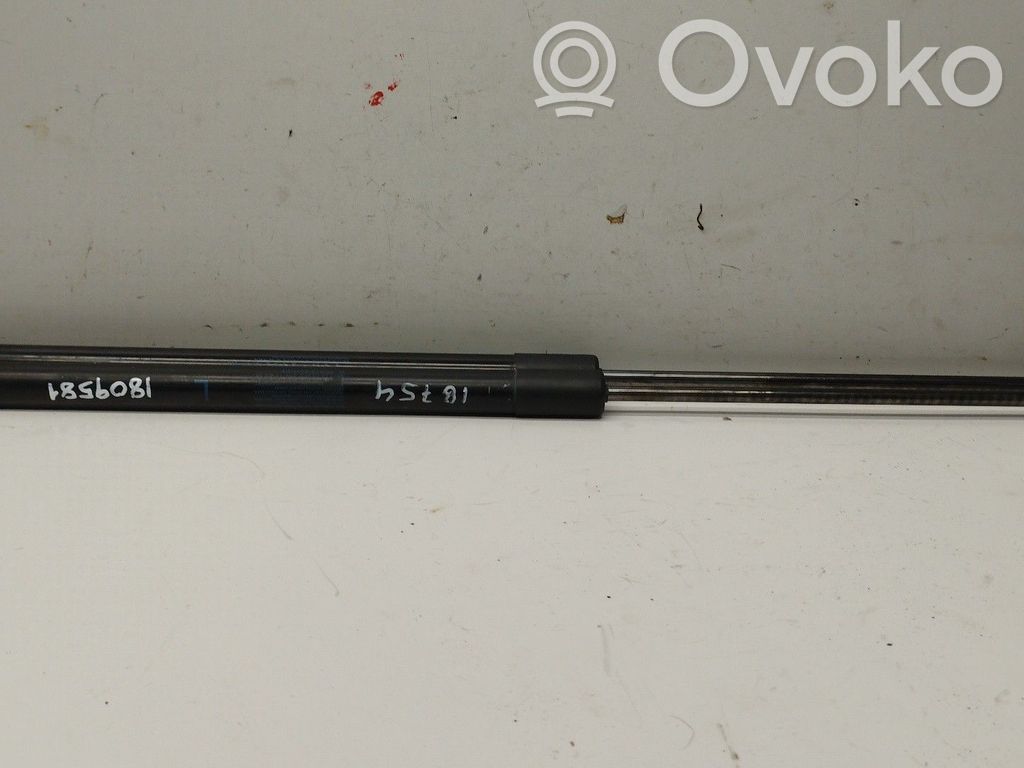 Honda CR-V Odbój klapy tylnej bagażnika 