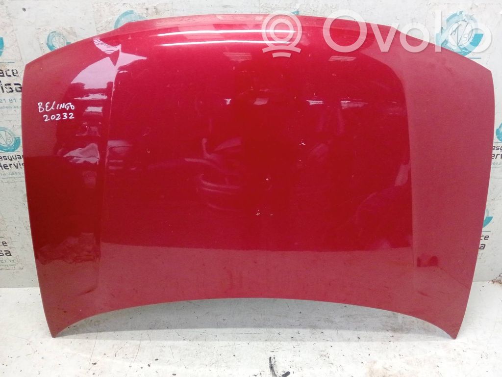 Engine bonnet/hood   FASE1