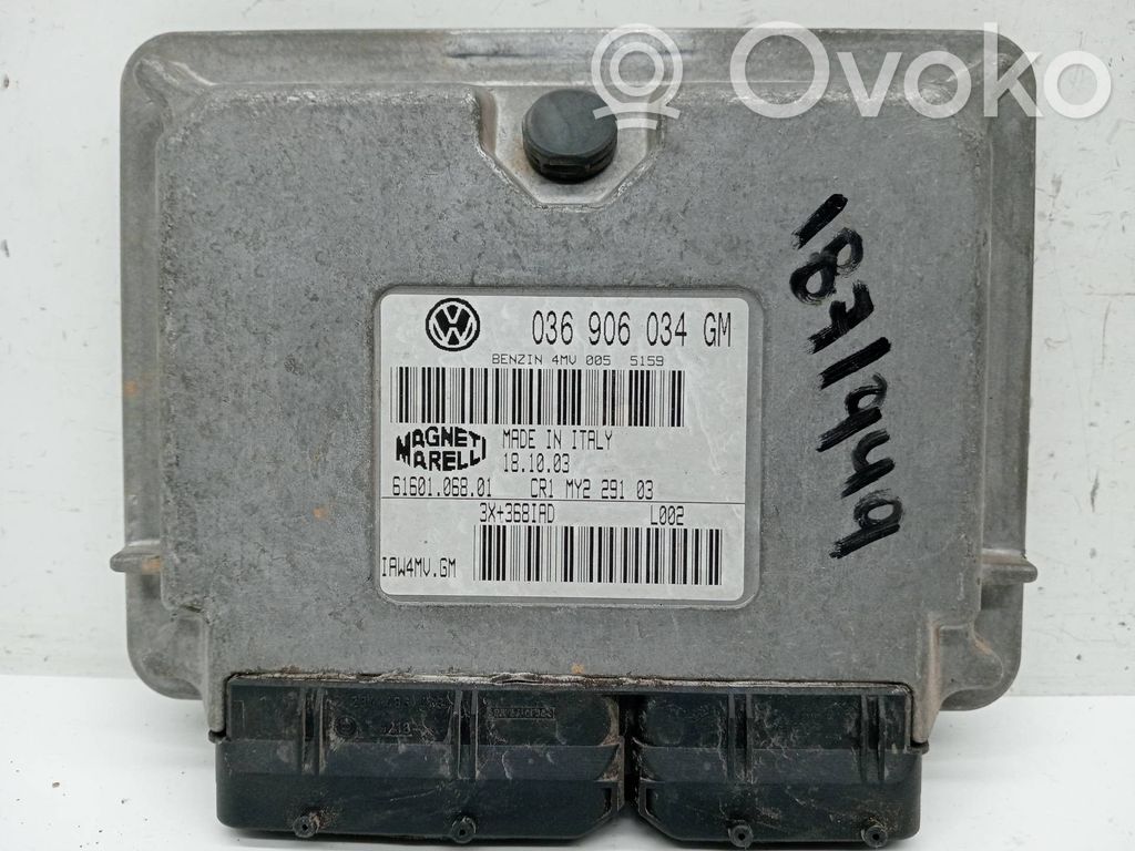 Seat Ibiza III (6L) Centralina/modulo del motore
