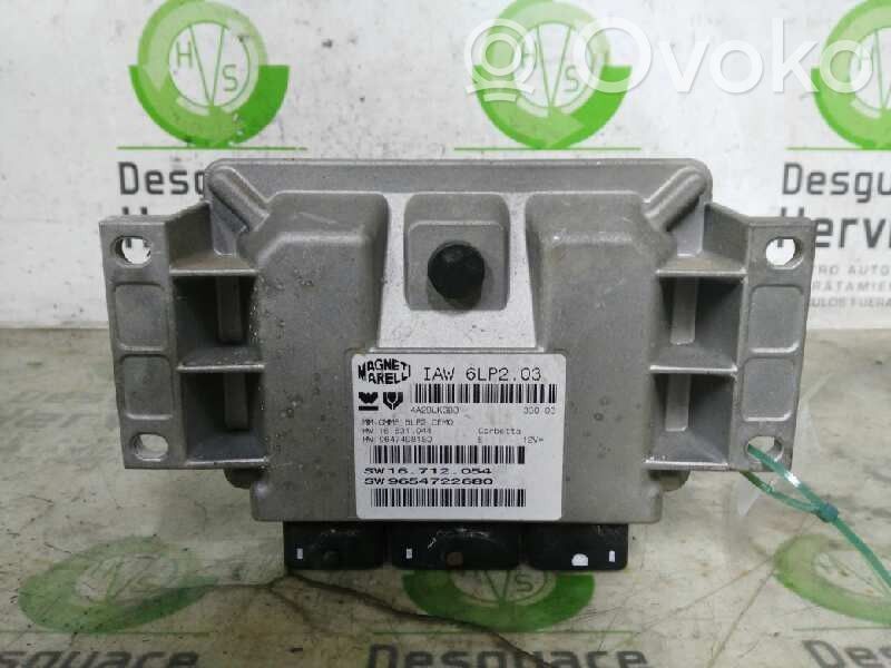 Peugeot 206 Unitate/modul de control motor 