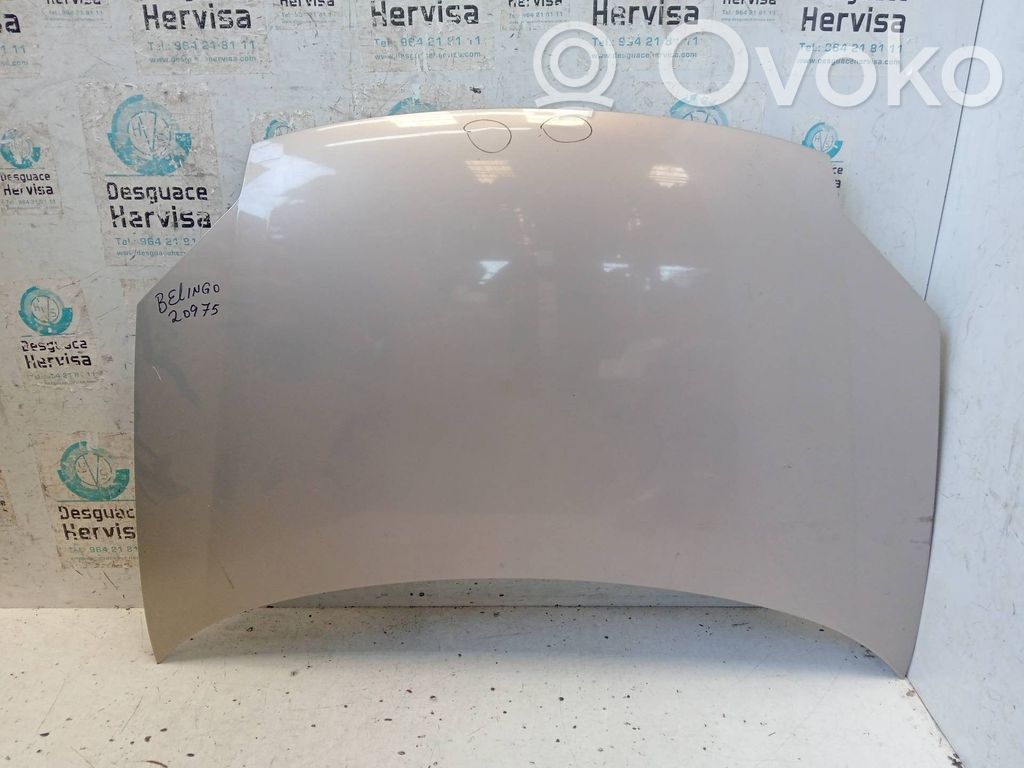 Engine bonnet/hood   FASE2