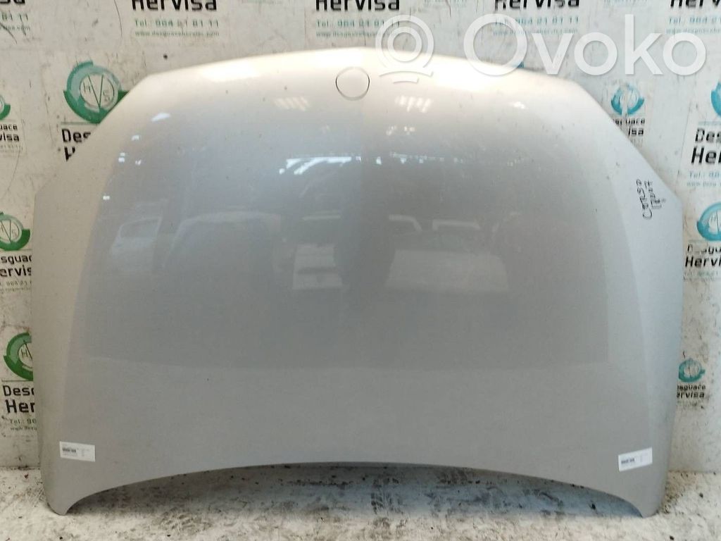Engine bonnet/hood