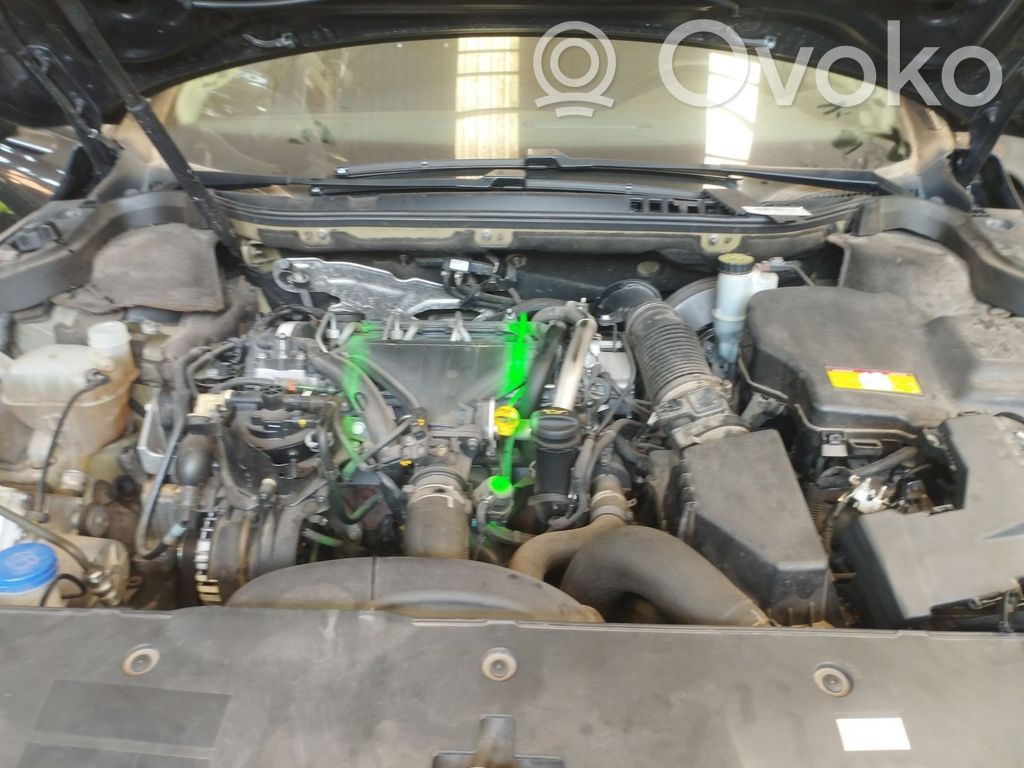 Motor   RHF