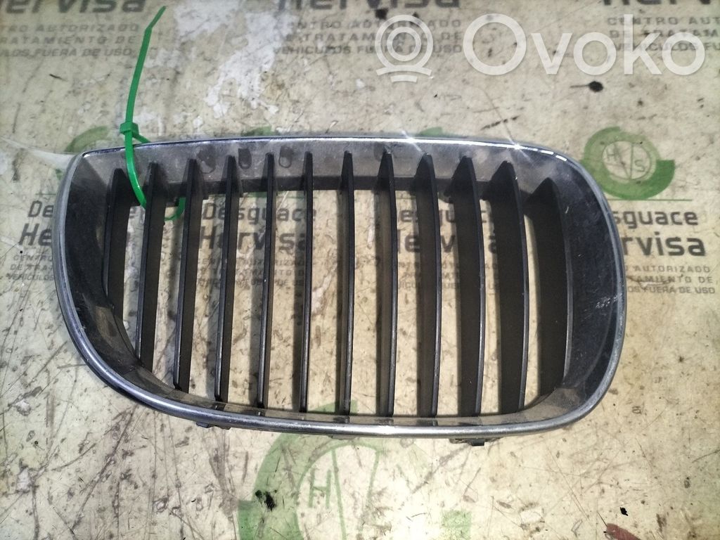Fender grill   71286149