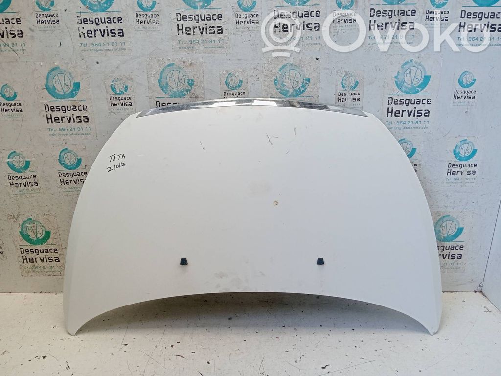 Motorhaube