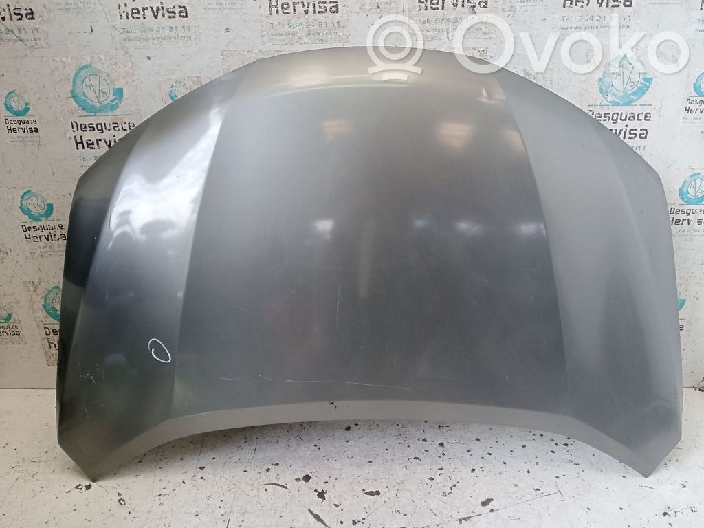 Motorhaube