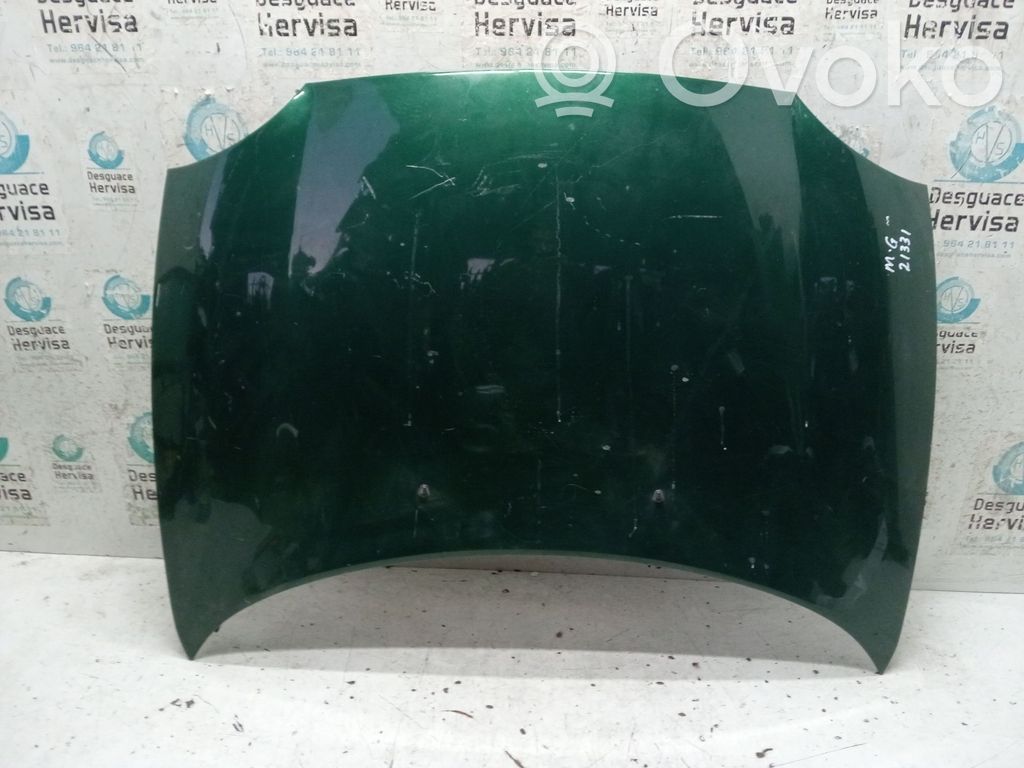 Engine bonnet/hood