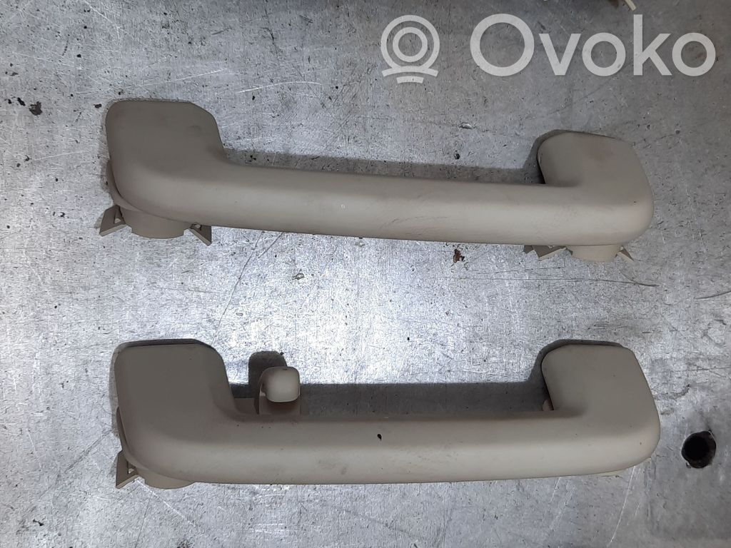 Asidero interior delantero