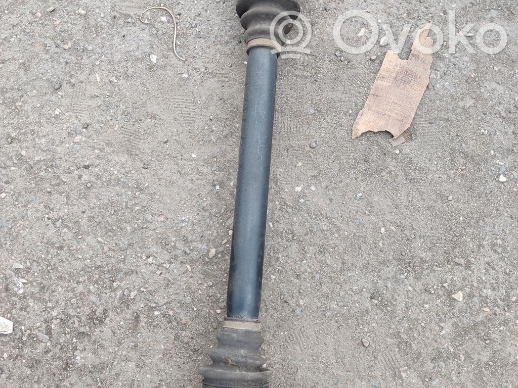 Aizmugurējā pusass   7521630,7521630AI03