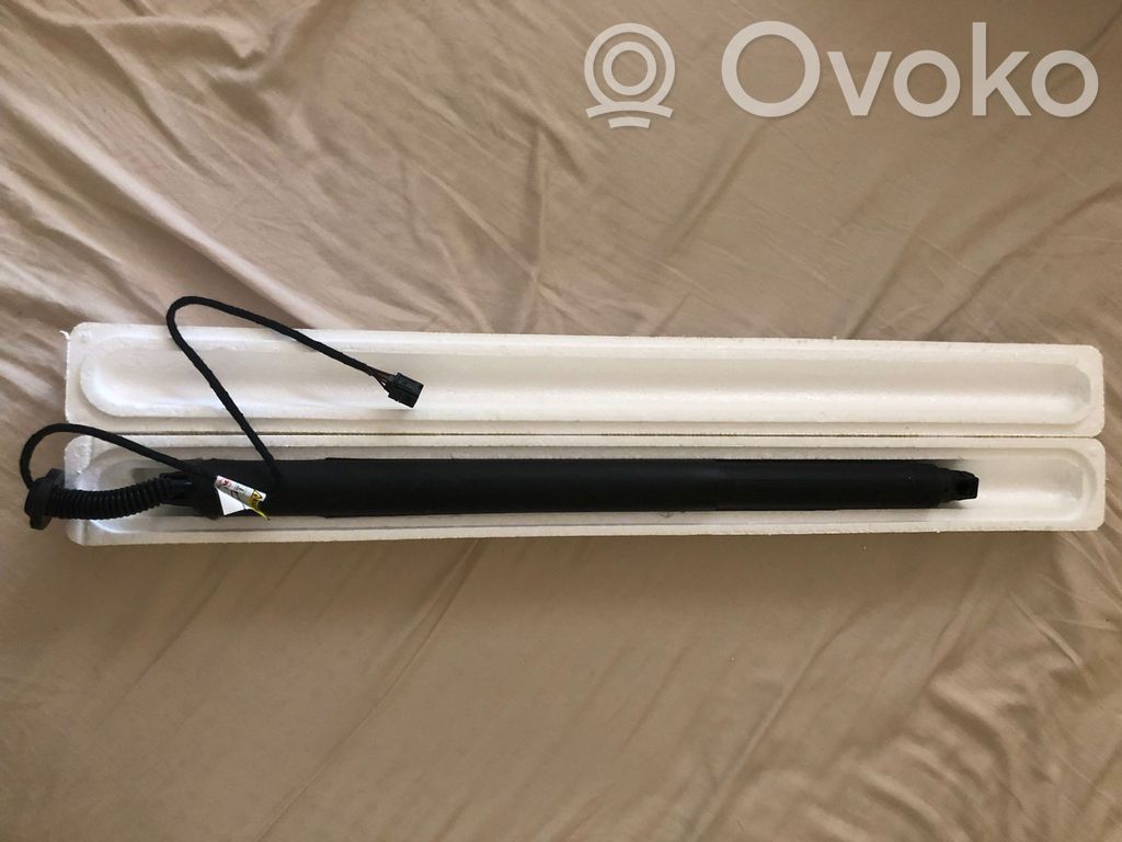 Tailgate/trunk strut/damper
