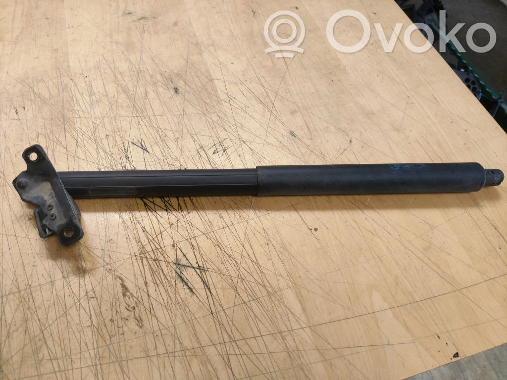 Tailgate/trunk strut/damper   729419901