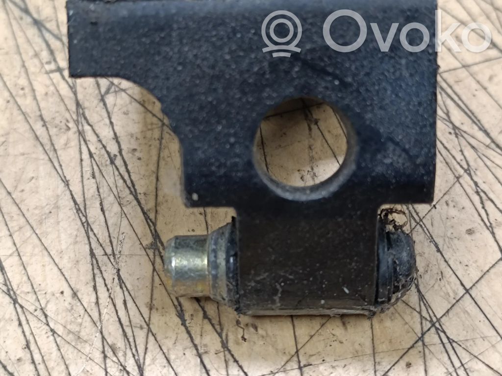 BMW X5 E53 Rear door lower hinge 