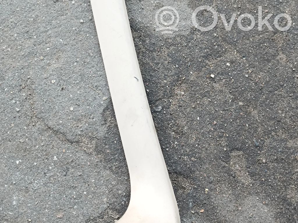 BMW X5 E53 Tailgate trim 