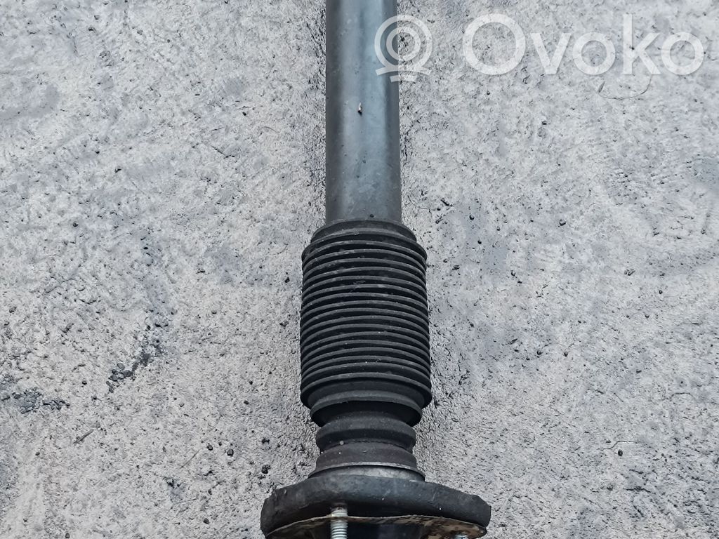 BMW X5 E53 Stoßdämpfer hinten 