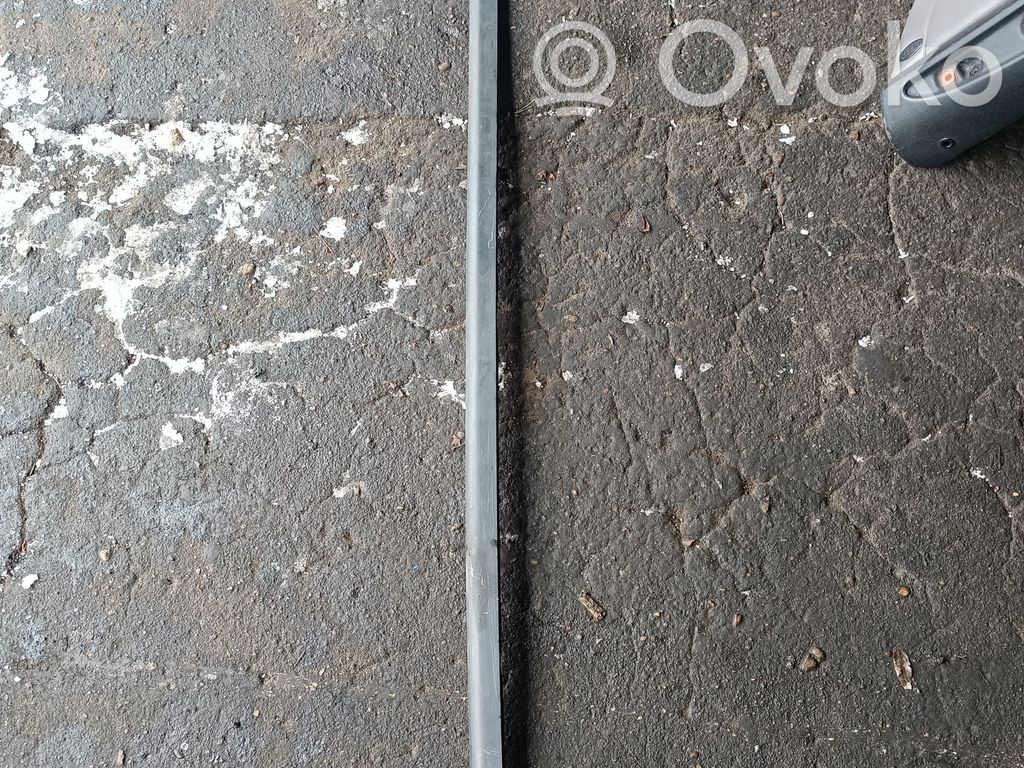 BMW X5 E53 Priekinio slenksčio apdaila (išorinė) 