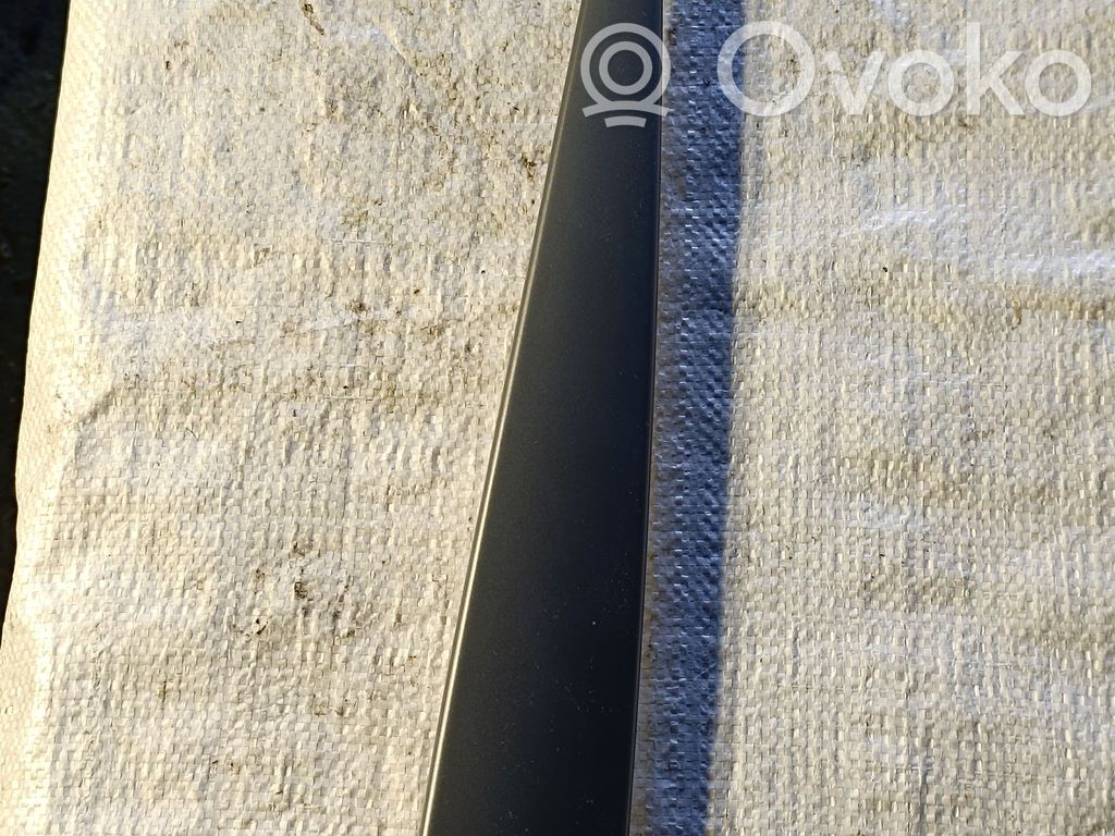 BMW X5 E53 Kita salono detalė 