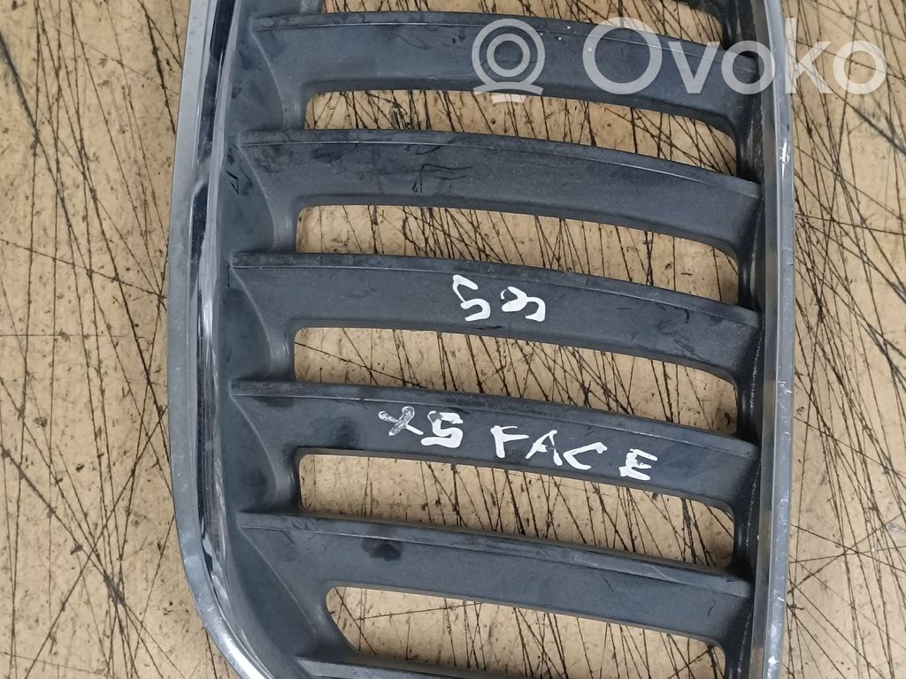 BMW X5 E53 Front grill 