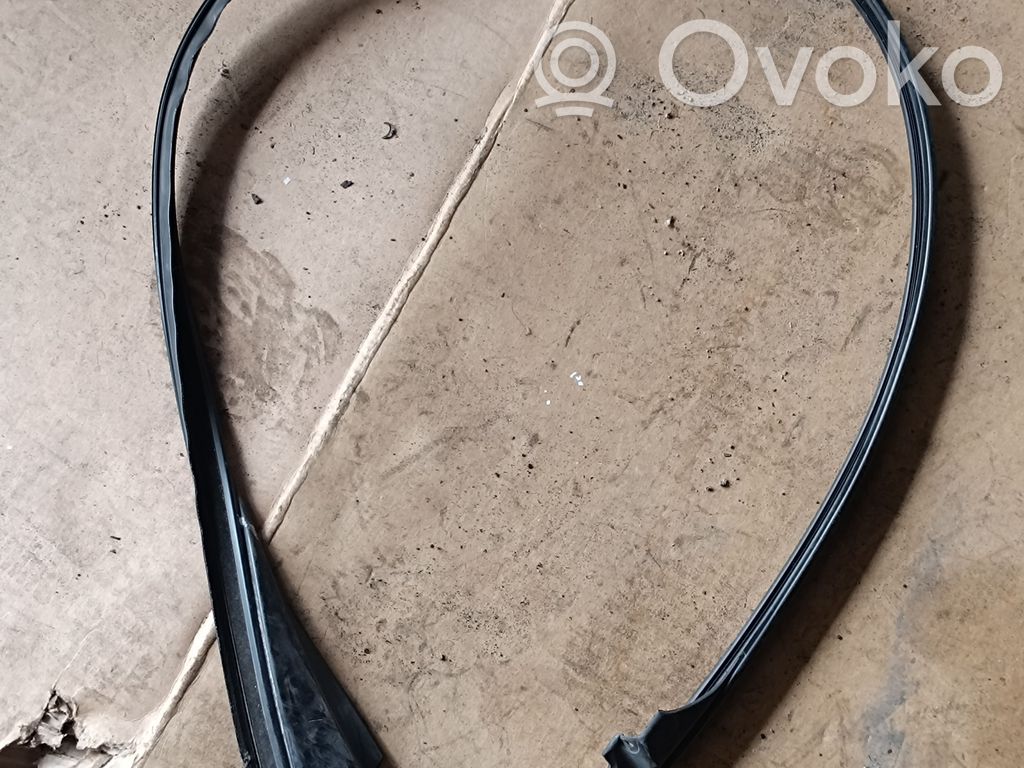 BMW X5 E70 Listwa / Uszczelka szyby drzwi przednich 
