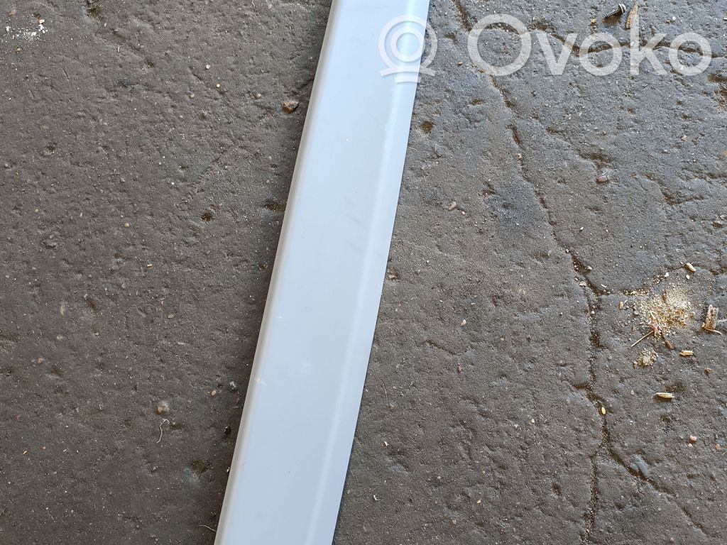 BMW X5 E53 Other trunk/boot trim element 