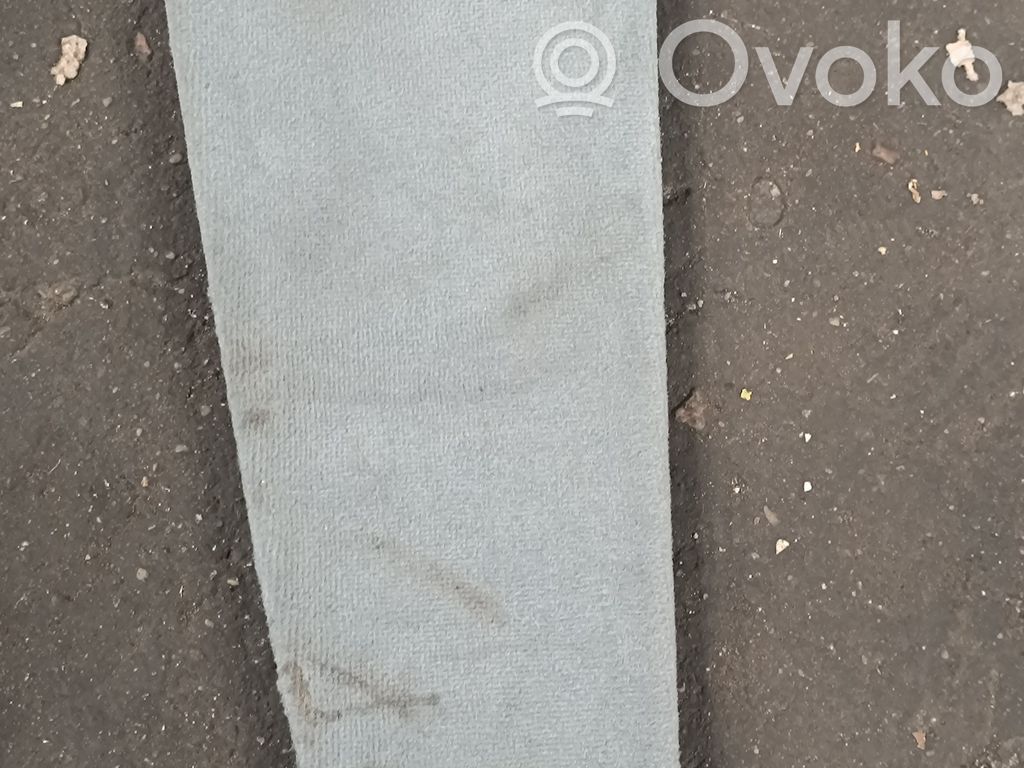 BMW X5 E53 Dashboard trim 