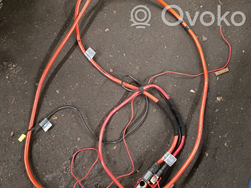 Plusa vads (akumulatora)   6932476,6932491
