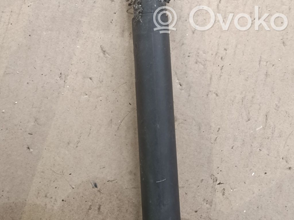Tailgate/trunk strut/damper   714963106,7149631