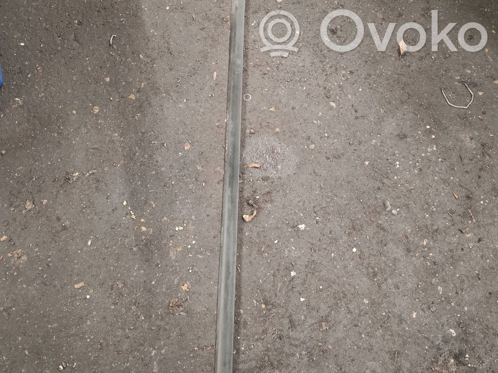 BMW X5 E53 Priekinio slenksčio apdaila (išorinė) 