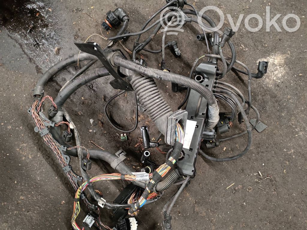 Engine installation wiring loom   7790765